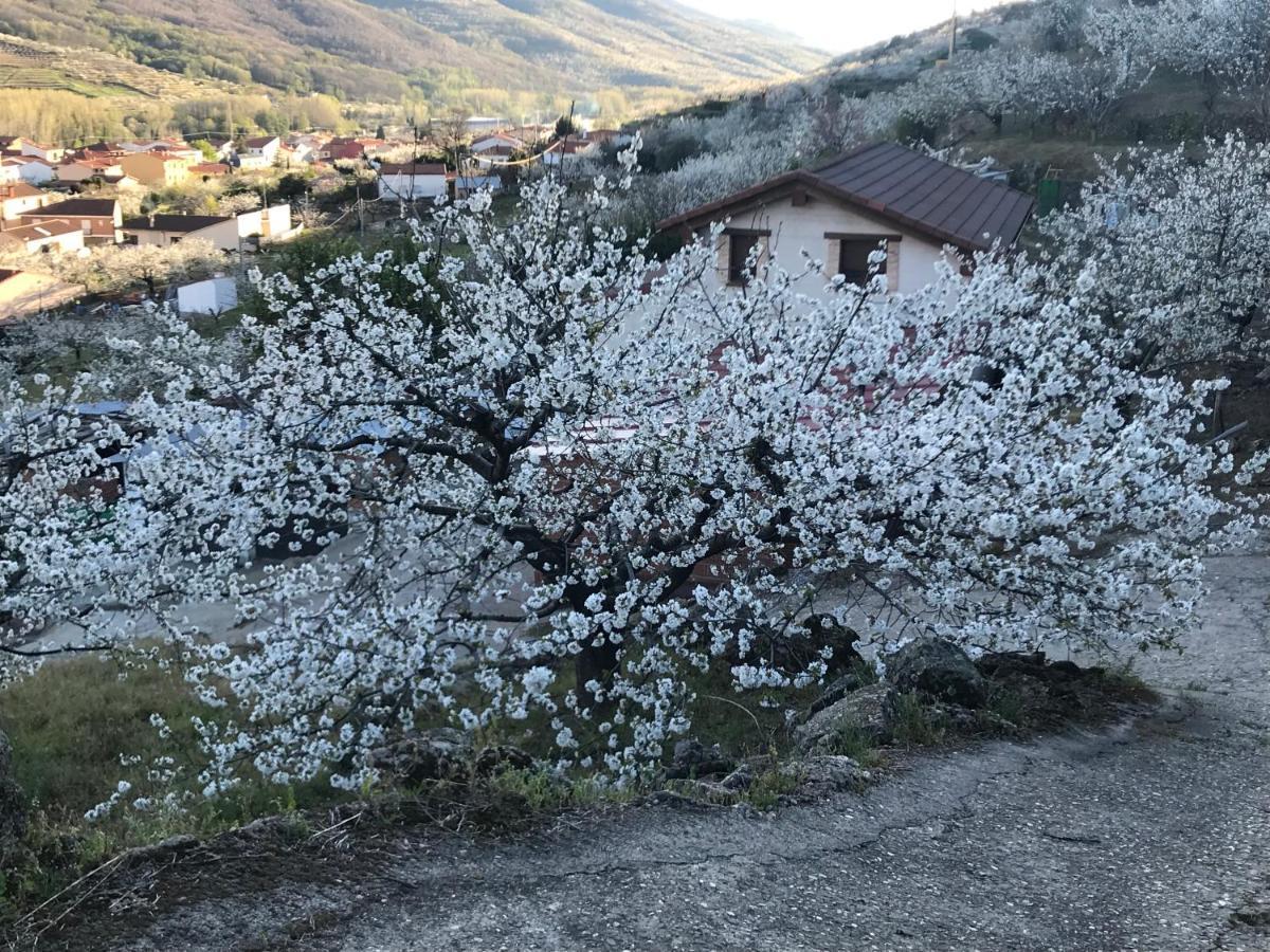 La Gargantilla Jerte Bagian luar foto