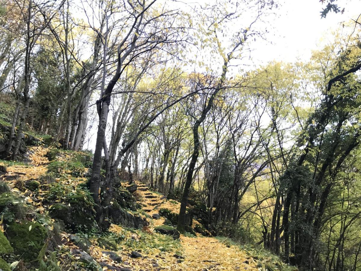 La Gargantilla Jerte Bagian luar foto